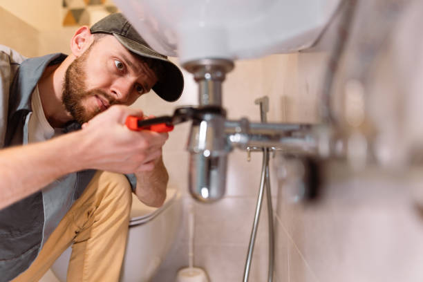 Best Septic System Installation and Maintenance  in Burbank, IL