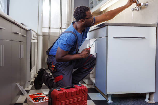 Best Commercial Plumbing Services  in Burbank, IL